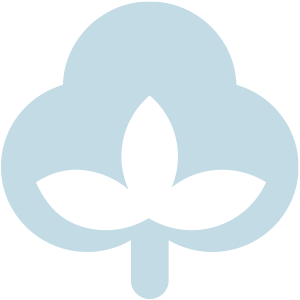 CICCA Boll Icon